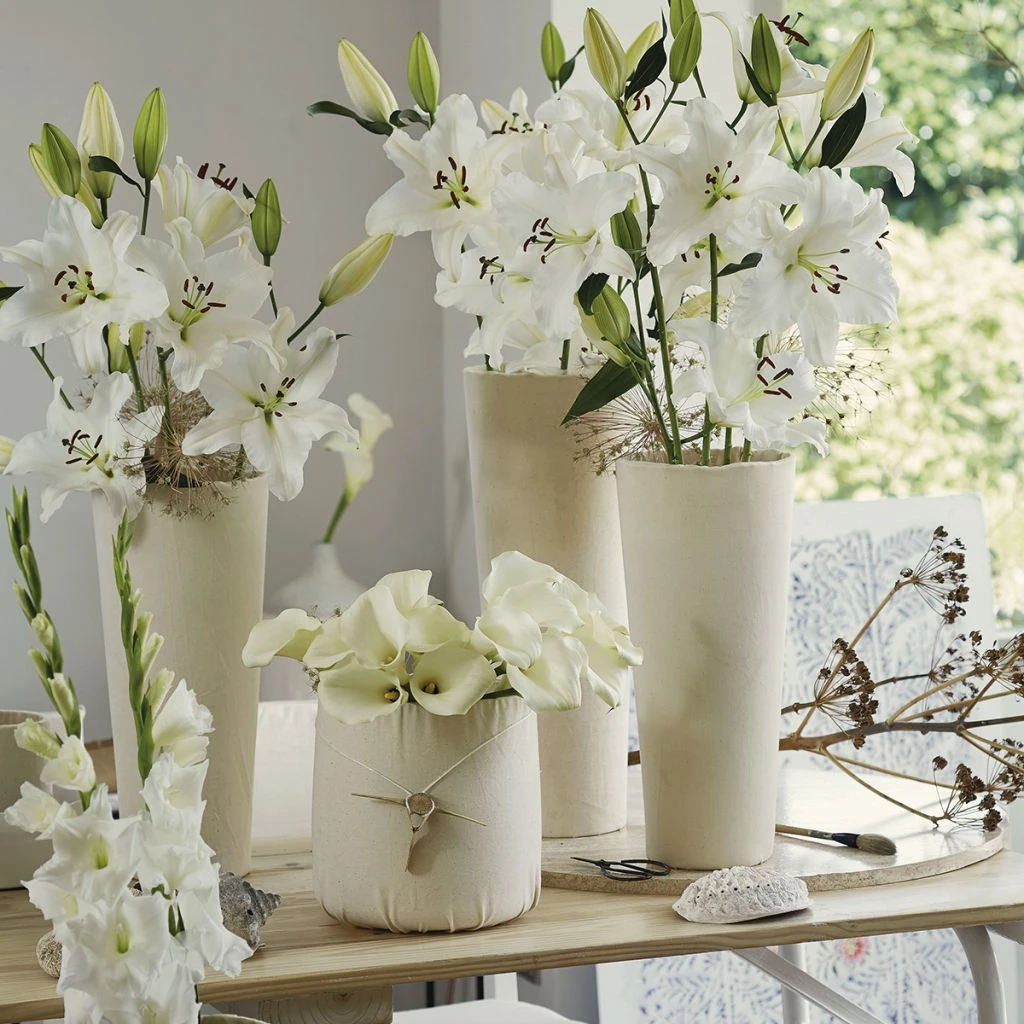 Collection Bulbes Pour Bouquets Modernes Blancs 1 Collection Bulbes Pour Bouquets Modernes Blancs